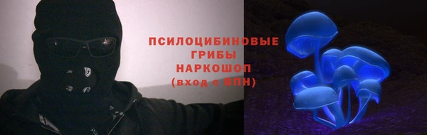 бутират Алзамай