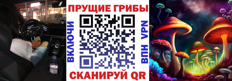 Галлюциногенные грибы Psilocybe  hydra как зайти  Шлиссельбург  наркотики 